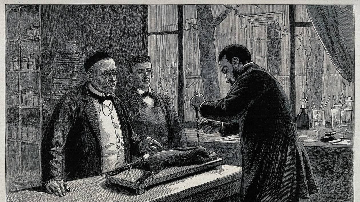 Histoire de la lutte contre les zoonoses et santé animale